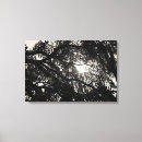 Suche nach botanische eiche poster Natur
