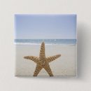 Recherche de massachusetts badges Les etats unis