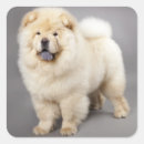 Recherche de chow chow autocollants Dog