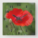 Recherche de pavots horloges Pour tous