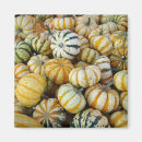 Recherche de gourde magnets Automne
