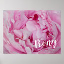 Recherche de fleuriste posters Botanique