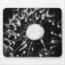 Suche nach löwenzahn mousepads Natur