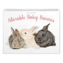 Recherche de lapin calendriers Adorable