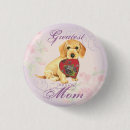 Recherche de dachshund accessoires Chien de seins