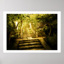 Recherche de terras posters Vert