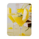 Recherche de gingembre magnets Cuisine
