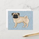 Suche nach pug postkarten Haustier