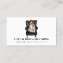 Recherche de pet sitter cartes visite Chat