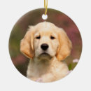 Suche nach decken ornamente Hund