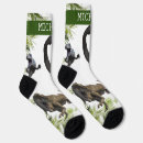 Suche nach dinosaurier socken T rex