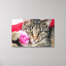 Recherche de minou impressions sur toile Animal familier
