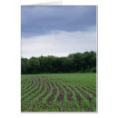 Suche nach kornfeld Bauernhof