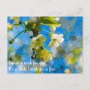 Recherche de joli arbre cartes postales Printemps