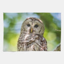 Suche nach raubvögel geschirr tücher Tiere