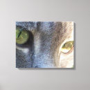 Recherche de chat impressions sur toile Moderne