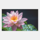 Suche nach lotus aufkleber Liebe