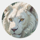 Recherche de fentes autocollants Animal sauvage