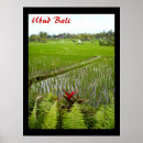 Suche nach bali poster Indonesische
