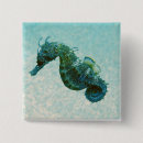 Recherche de hippocampes badges Plage
