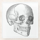 Recherche de anatomie dessous de verres Crâne