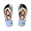 Recherche de chaton tongs Mignon