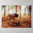 Recherche de cheval trait posters Équine