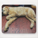 Suche nach boden mousepads Horizontal