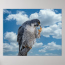 Suche nach hudson river poster Wild