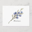 Suche nach heidelbeere postkarten Obst