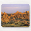 Recherche de prairie tapis souris Flore