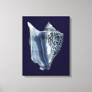 Suche nach muscheln leinwandbilder Indigo