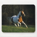 Suche nach malen sie pferde mousepads Laufen