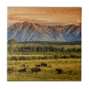 Suche nach weiden lassen untersetzer Usa