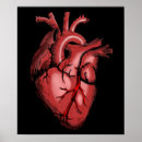 Suche nach anatomisches herz poster Medizinisch
