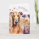 Suche nach afghanische karten Haustiere