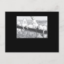 Recherche de parodies cartes postales Chaton
