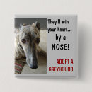 Suche nach windhund adoption Hunderettung