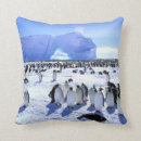 Suche nach die antarktis kissen Eis