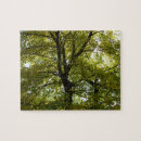 Suche nach ahornbaum puzzle Natur