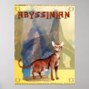 Recherche de abyssinien posters Félin