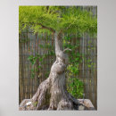 Recherche de horticulture posters Arbre