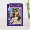 Suche nach basset hound karten Niedlich