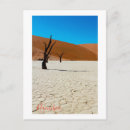 Suche nach sossusvlei düne postkarten Natur