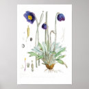 Recherche de poppy posters Floral