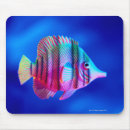 Recherche de poissons tropicaux tapis souris Vie marine