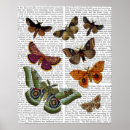 Suche nach motten poster Blatt