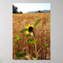 Recherche de merveilles posters Unique