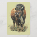 Recherche de bison invitations Animal