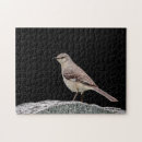 Suche nach singvögel puzzle Wildtiere